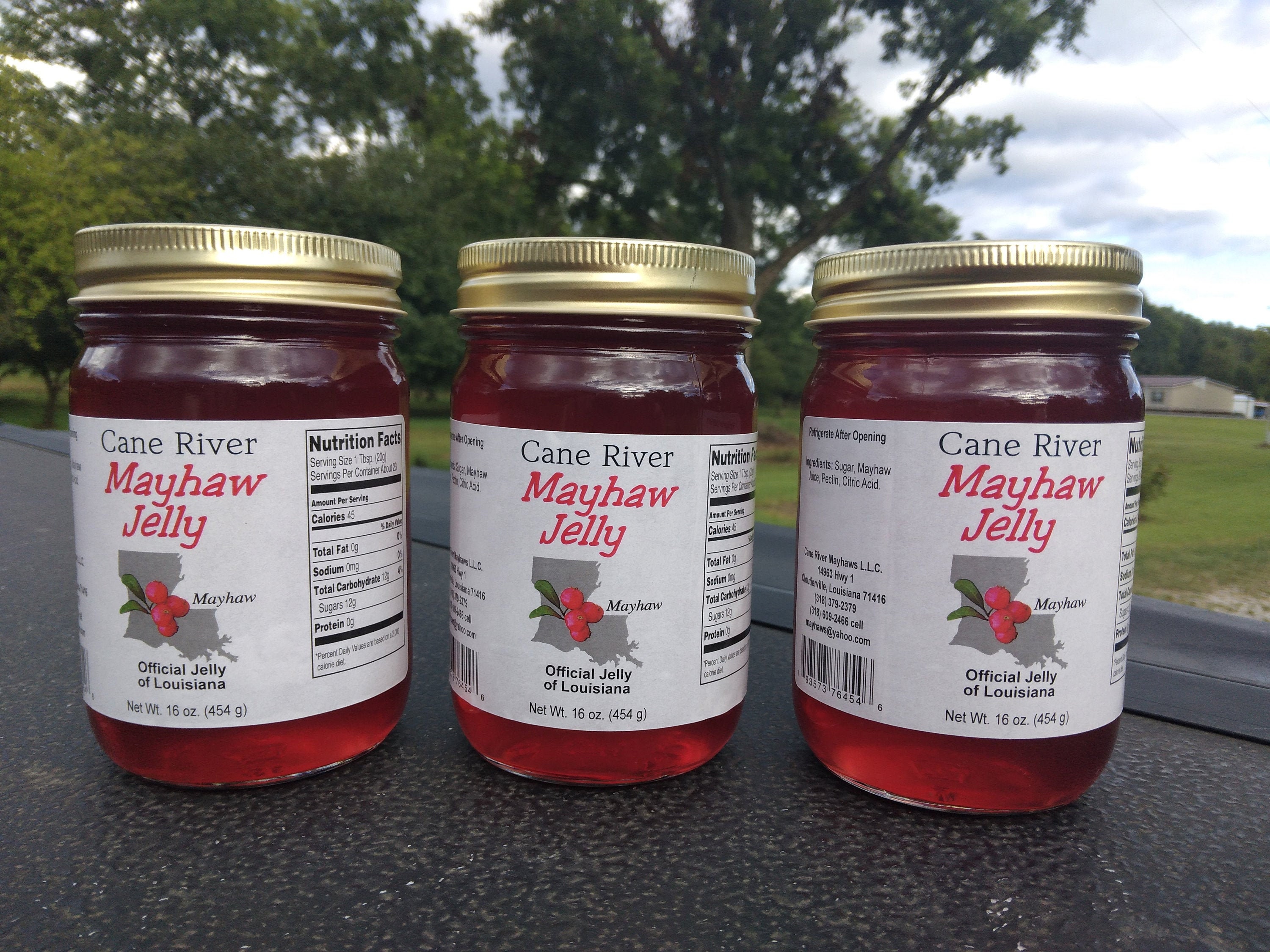 3 Jars Mayhaw Jelly FREE SHIPPING in USA Official Jelly of Louisiana 36 Dollars Etsy UK