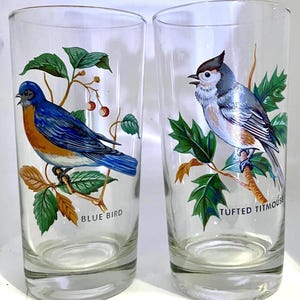 Vintage West Virginia Glass Songbird Birds Drinking Glasses a Pair: Titmouse and Bluebird FREE Shipping