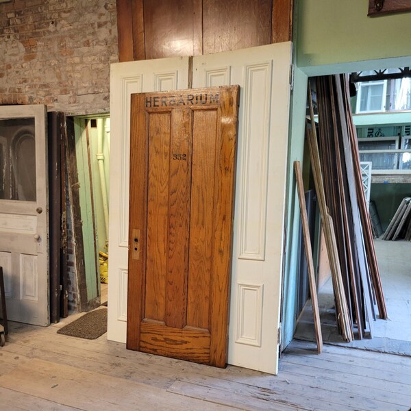 36" Herbarium Door, Vintage Wood Door, 36 Inch Wide, Salvaged Door, Antique Wood Door, Reclaimed Door, Horizontal Panel, Two Panel Door