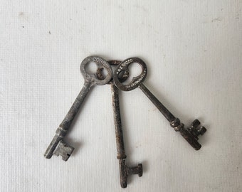 3 Antique Skeleton Door Key, Vintage Skeleton Keys, Fancy Old Keys, Antique Door Locks, Old Skeleton Keys 102609