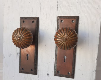 Solid Bronze Door Hardware Set with Scalloped Knobs and Plates, Egg and Dart Antique Door Plates and Door Knobs, Architecture Salvage 120701