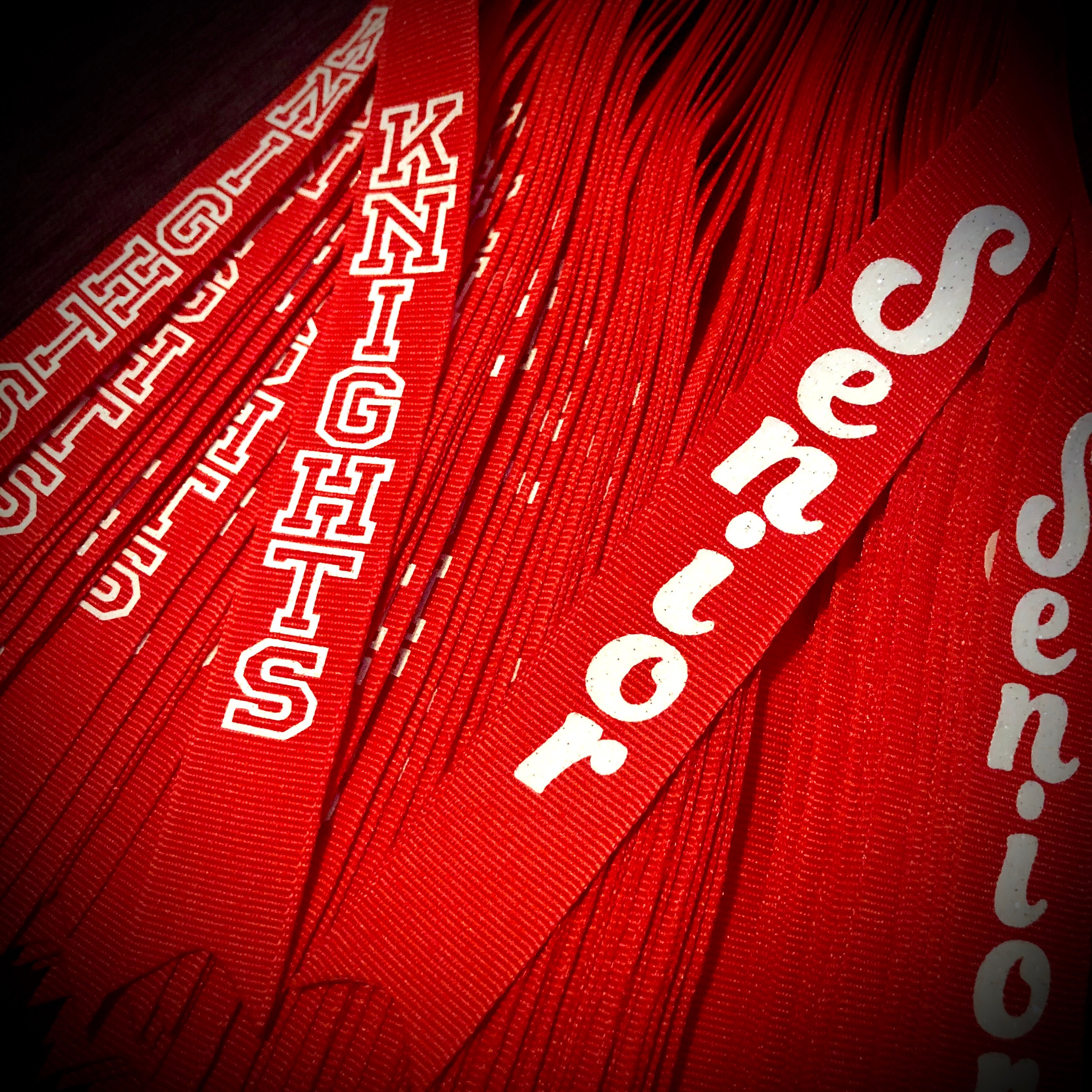 Cheer RIBBON, DISCOUNTS Cheer Squad Ribbons, Cheer Squad Bows With Text ...