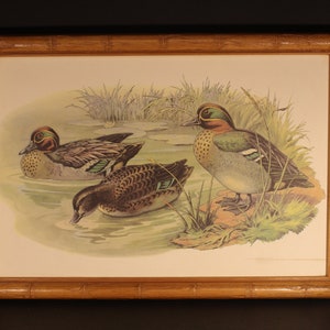 Duck Art Print by Jacques Cartier "Three Ducks Woodtail", Framed with Bamboo Style Wood, 1980's Vintage Farmhouse Country Cottagecore Decor