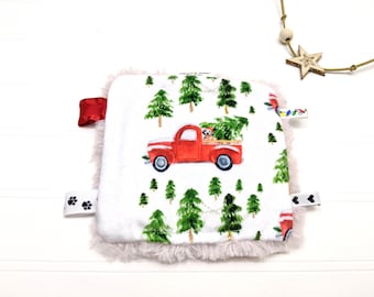 Baby Red Truck Crinkle Sensory Toy, Woodland Crinkle Toy, Baby Sensory Toy, Truck and Dog Minky Crinkle Toy, Baby Stocking Stufff