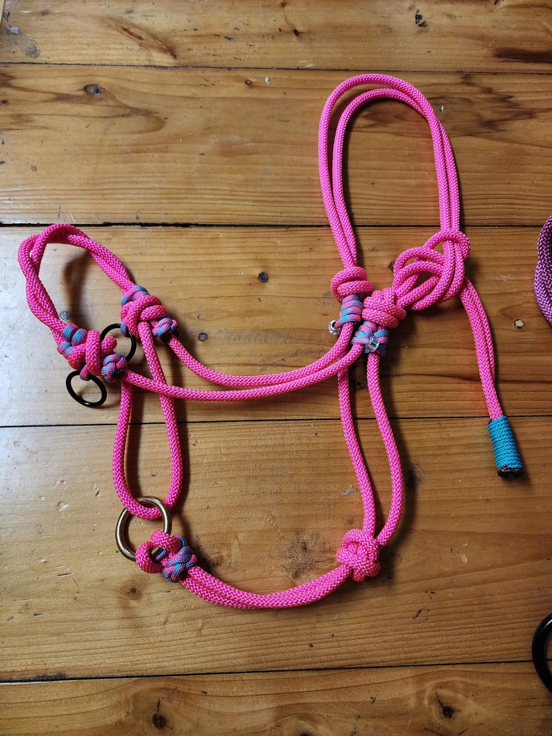 Bit Less Rope Halter Sidepull Rope Halter Custom Fit: Bitless Hackamore Horse Training Tack ...