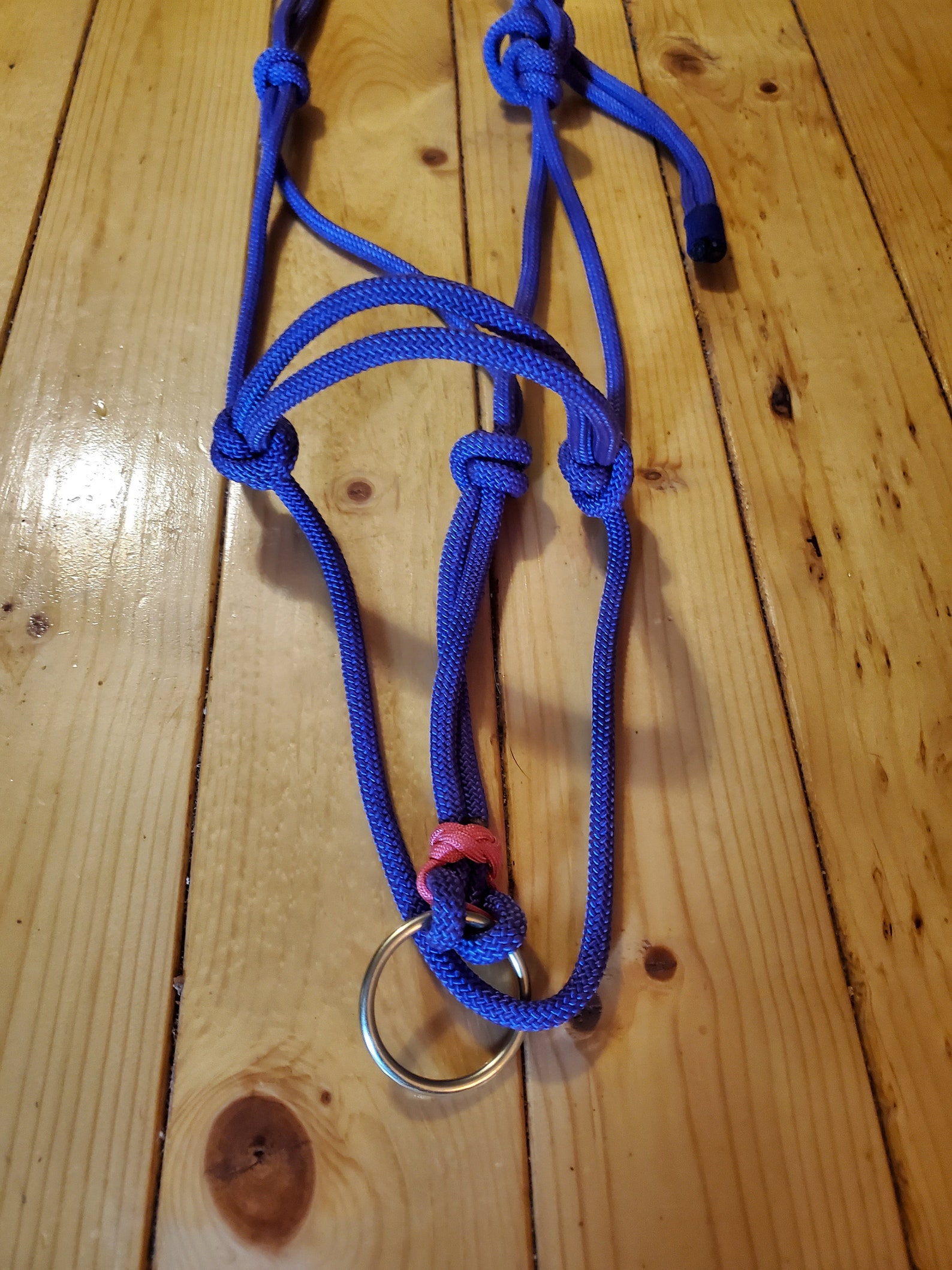 Custom Rope Halter Ring Rope Halter Custom Rope Tack Horse Etsy
