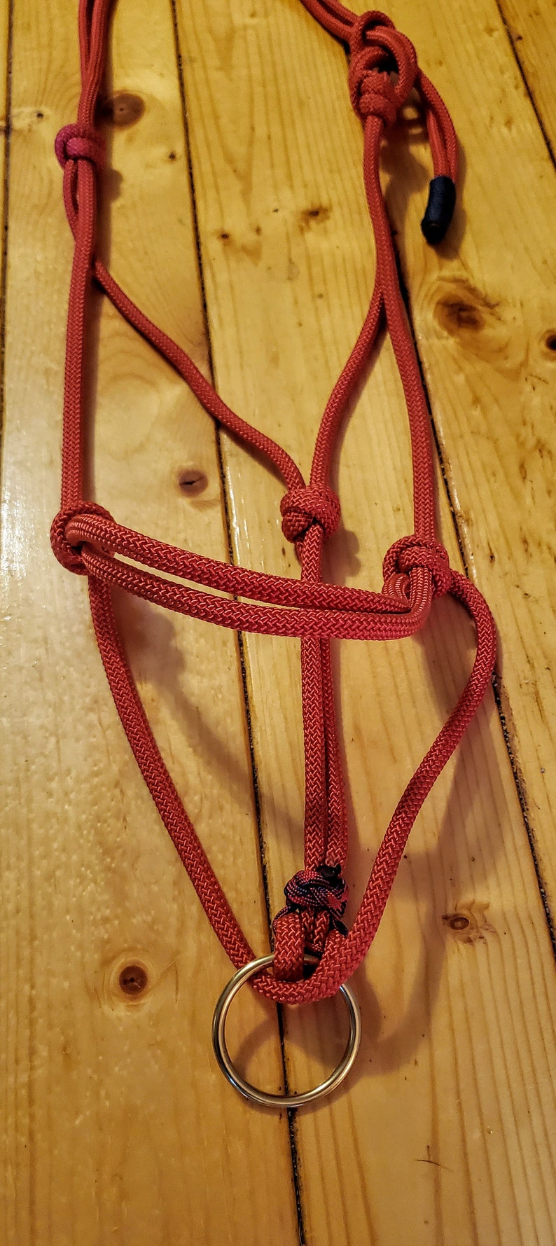 Custom Rope Halter Ring Rope Halter Custom Rope Tack Horse Etsy