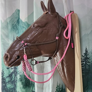 May include: A brown horse head display model wearing a dark brown rope halter with bright pink accents. The halter features braided pink and black rope details on the noseband and a long, bright pink lead rope attached to the side ring.