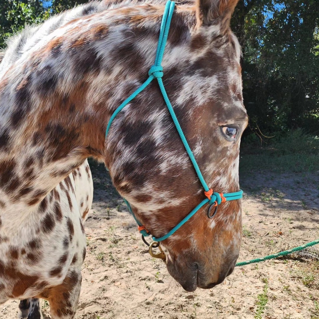 Sliding Ring Rope Horse Halter Tackrope Lunging Haltercustom Horse Tack Rope Halter Sliding