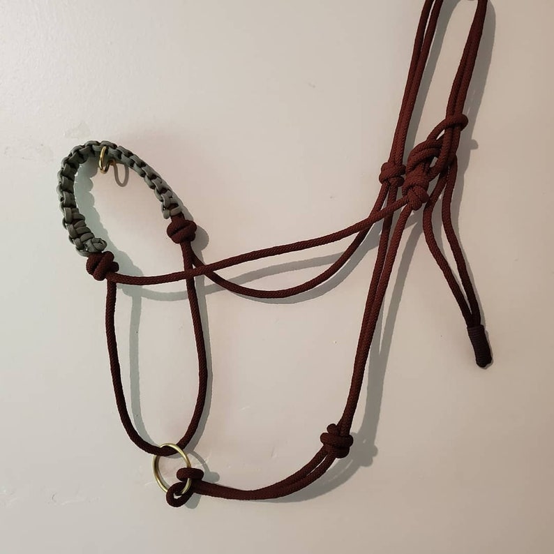 Braided Noseband Custom Rope HalterHorse Training Etsy