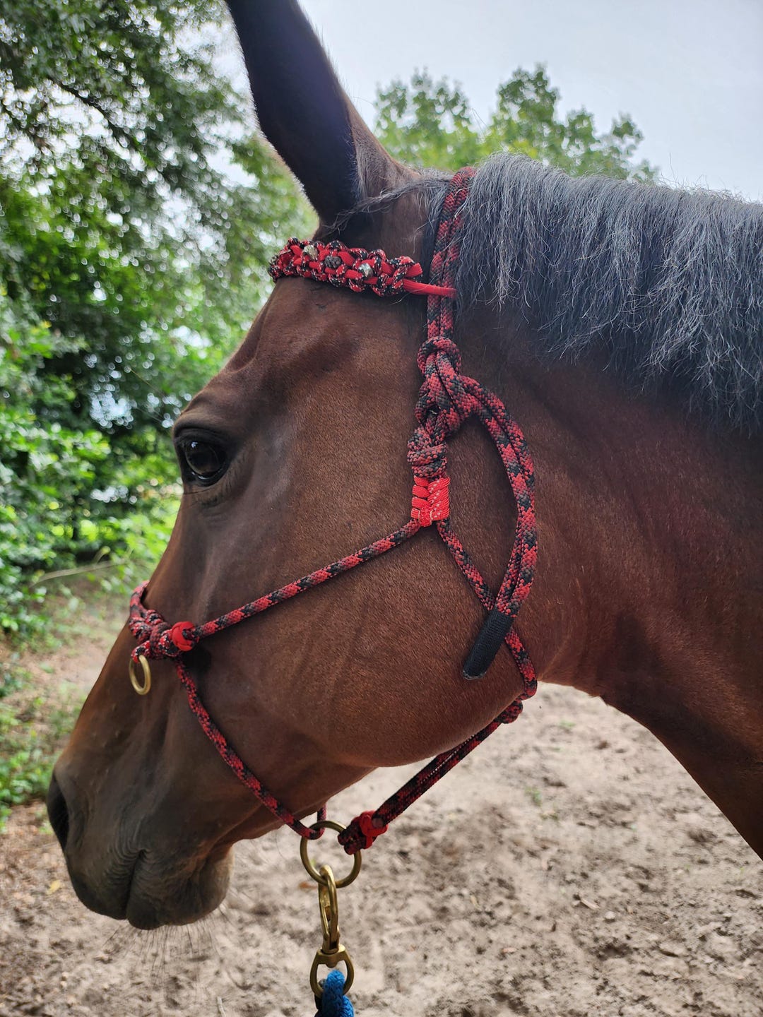 Bit Less Rope Halter Sidepull Bitless Halter Horse Tack: Sliding Ring Rope Hackamore and ...