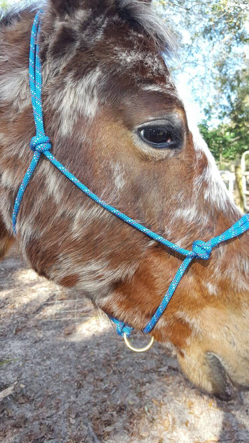 Sliding Ring Rope Horse HalterRope Lunging Halter Custom Etsy