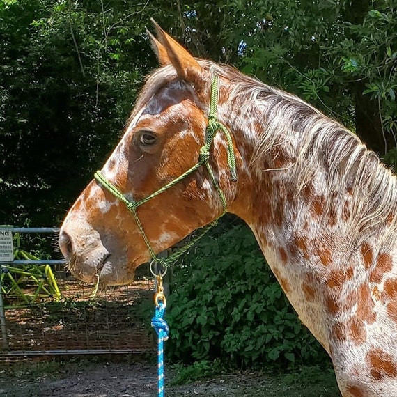 The original Sliding Ring Rope Halter-custom Training Rope Tack-horse Halter  Sliding Ring-training Halter-training Rope Halter-slide Ring 