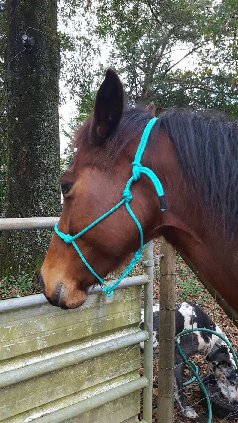 Sliding Ring Rope Horse Halterrope Lunging Halter Custom Etsy