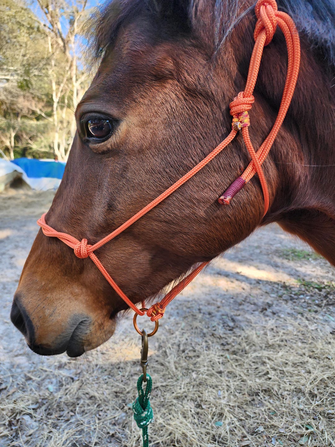 Knotted Rope Horse Halter: Sliding Ring Training Tack Handcrafted ...
