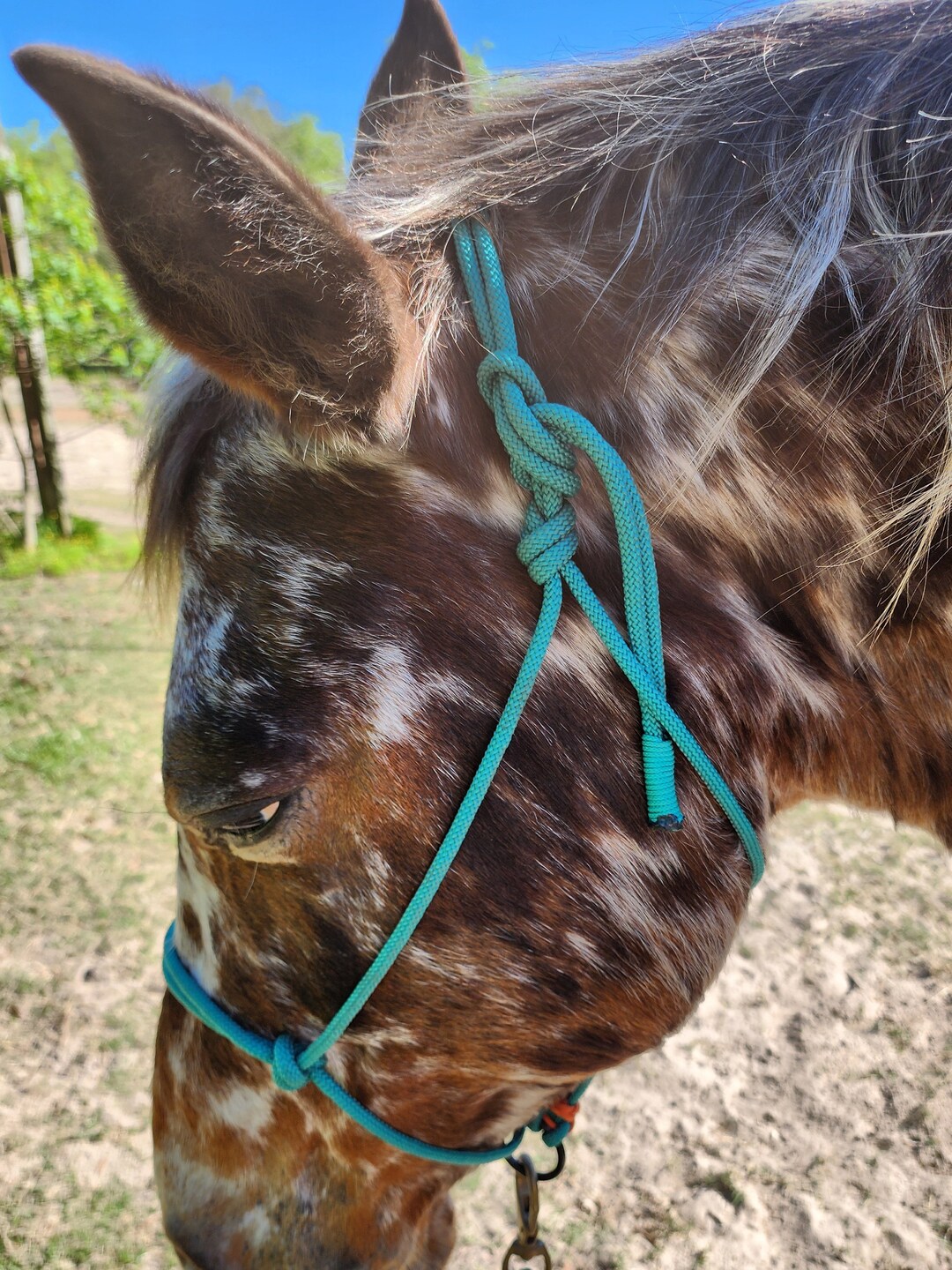 Sliding Ring Rope Horse Halter Tack Rope Halter Horse Tack Gift for Her ...