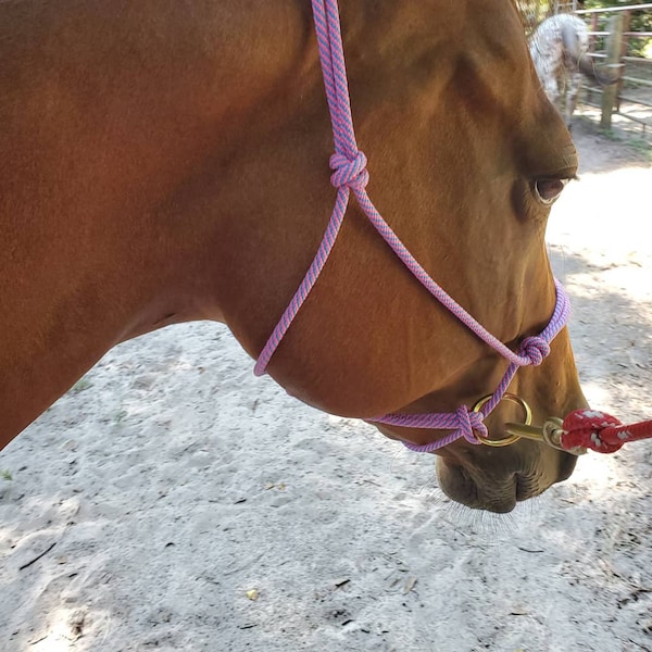 Sliding Ring Rope Horse Halter Tack-Knotted Rope Liberty Halter-Natural Horsemanship Tack for any horse-mini--Draft. Great training halter!