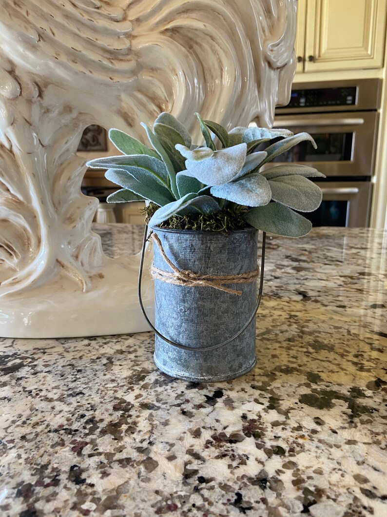 Greenery in Galvanized Pots Lambs Ear in Galvanized Pot Etsy