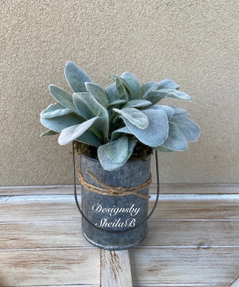 Greenery in Galvanized Pots Lambs Ear in Galvanized Pot Etsy