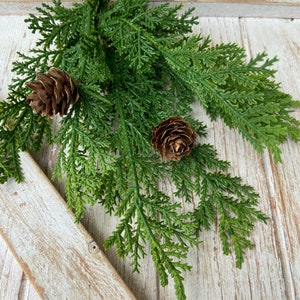 May include: A close-up of a sprig of green faux cedar with two brown pinecones. The cedar has small, scale-like leaves. The background is a weathered, light-colored wooden surface. The image is well-lit, highlighting the textures and colors.