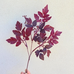 May include: A sprig of artificial foliage with deep red and purple leaves and small berry-like buds. The leaves have a textured appearance and are arranged along thin, brown stems. The sprig is held against a neutral background.