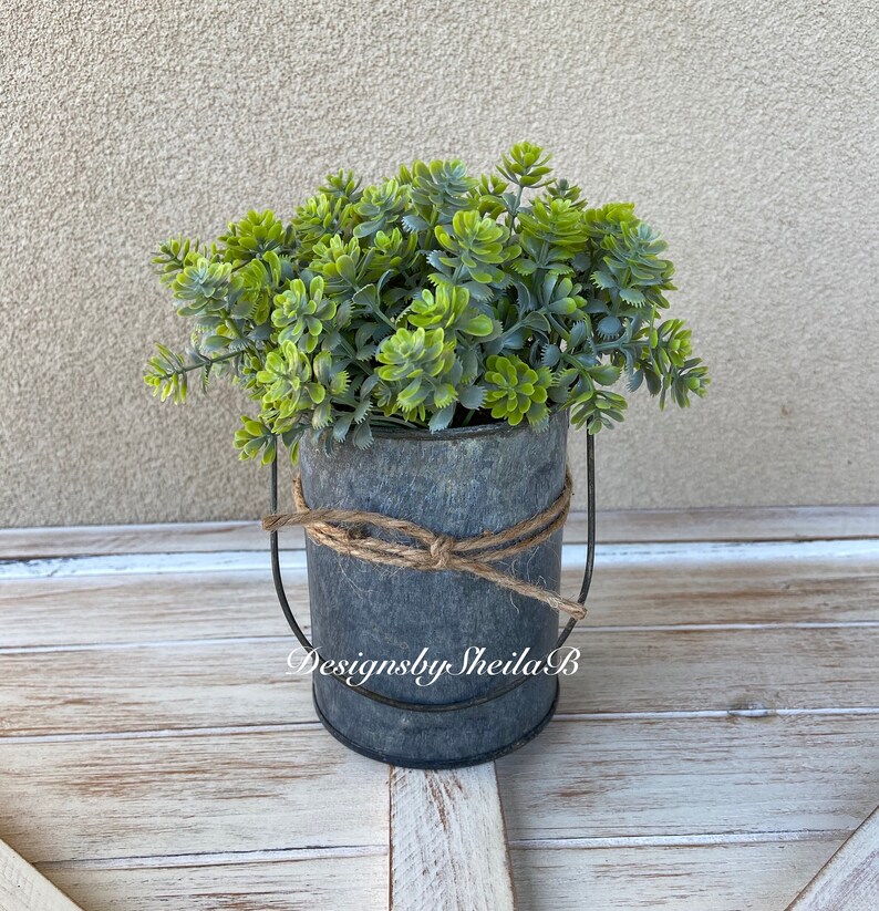 Greenery in Galvanized Pots Lambs Ear in Galvanized Pot Etsy