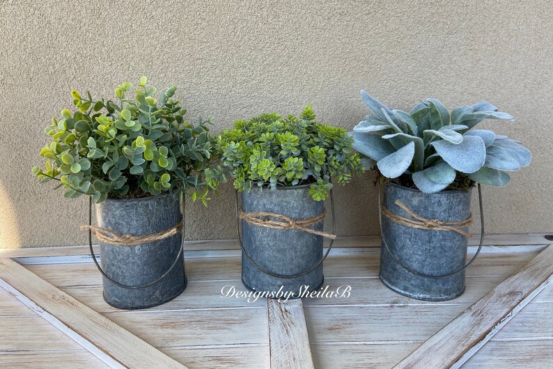Greenery in Galvanized Pots Lambs Ear in Galvanized Pot Etsy