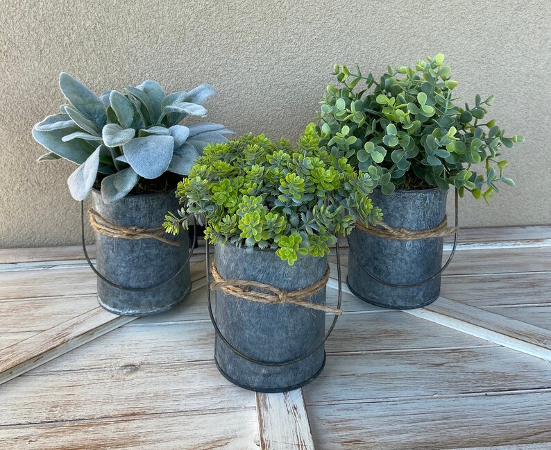 Greenery in Galvanized Pots Lambs Ear in Galvanized Pot Etsy