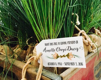 Memorial Tree, Memorial Service Favor, Pine Tree Seedling Funeral Favor, Earth Friendly Favors, Memorial Plant