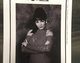 WCW (ワールド・チャンピオンシップ・レスリング) 写真集 WCW (ワールド・チャンピオンシップ・レスリング) 写真集 WCW