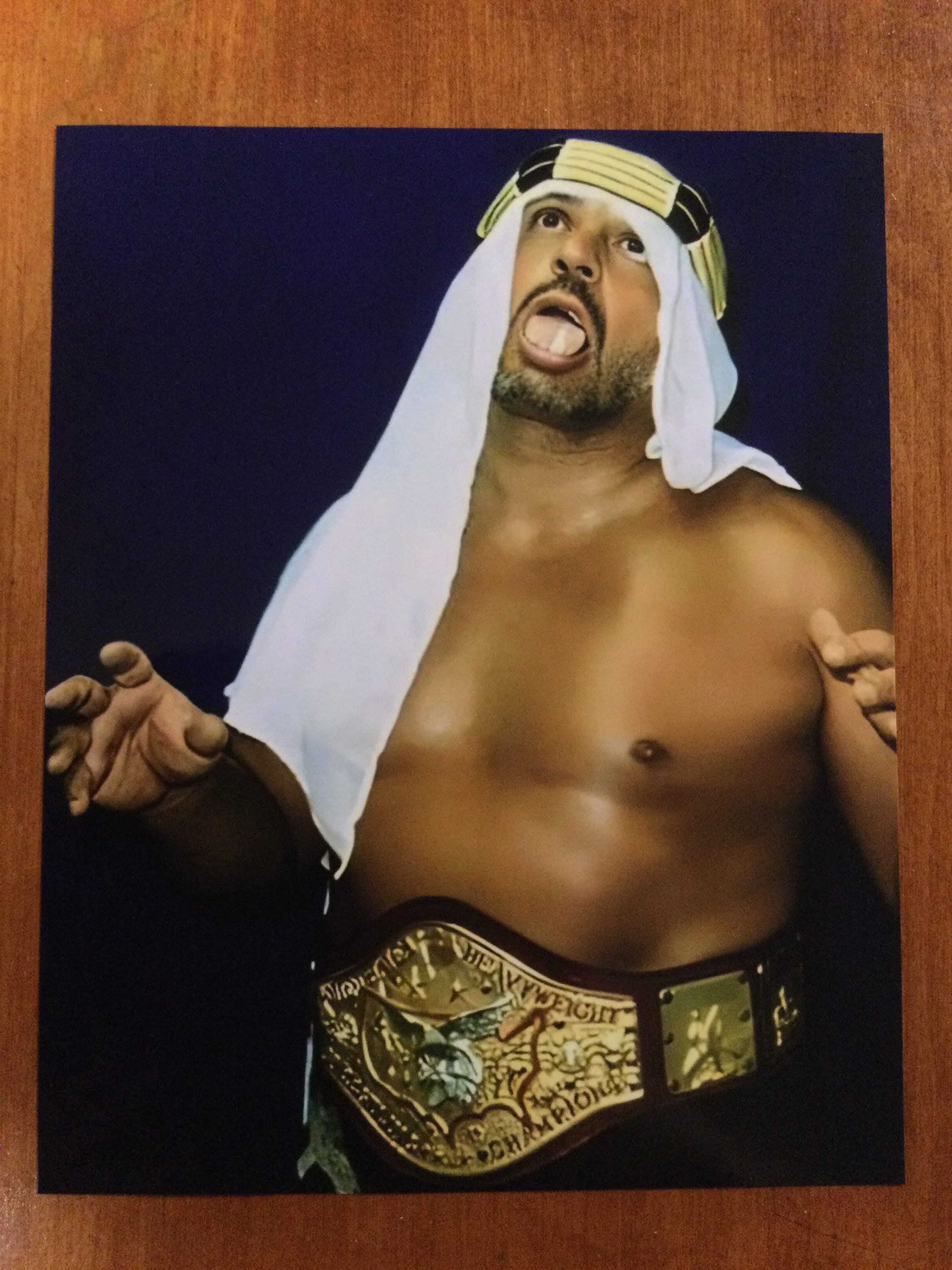 The original sheik Ed farhat hardcore wrestling legend art print design 8x10 photo ecw Sabu wcw