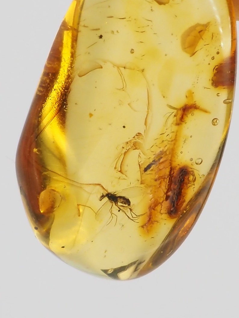 Natural Baltic Amber with inclusion fossil insect mosquito gnat bug sterling silver bail pendant