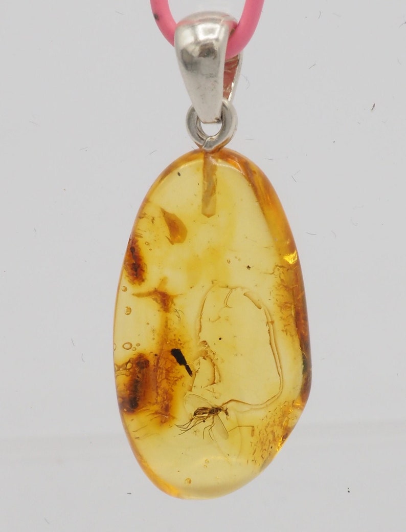 Natural Baltic Amber with inclusion fossil insect mosquito gnat bug sterling silver bail pendant