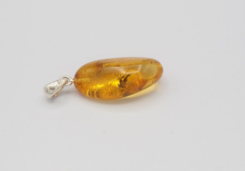 Natural Baltic Amber with inclusion fossil insect mosquito gnat bug sterling silver bail pendant