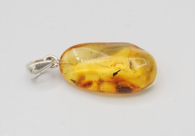 Natural Baltic Amber with inclusion fossil insect mosquito gnat bug sterling silver bail pendant