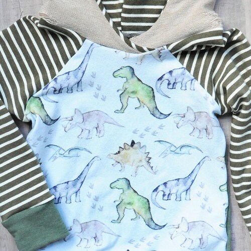 Boy Hoodie Hooded Sweatshirt Dinosaur Hoodie Dino Baby Boy Etsy