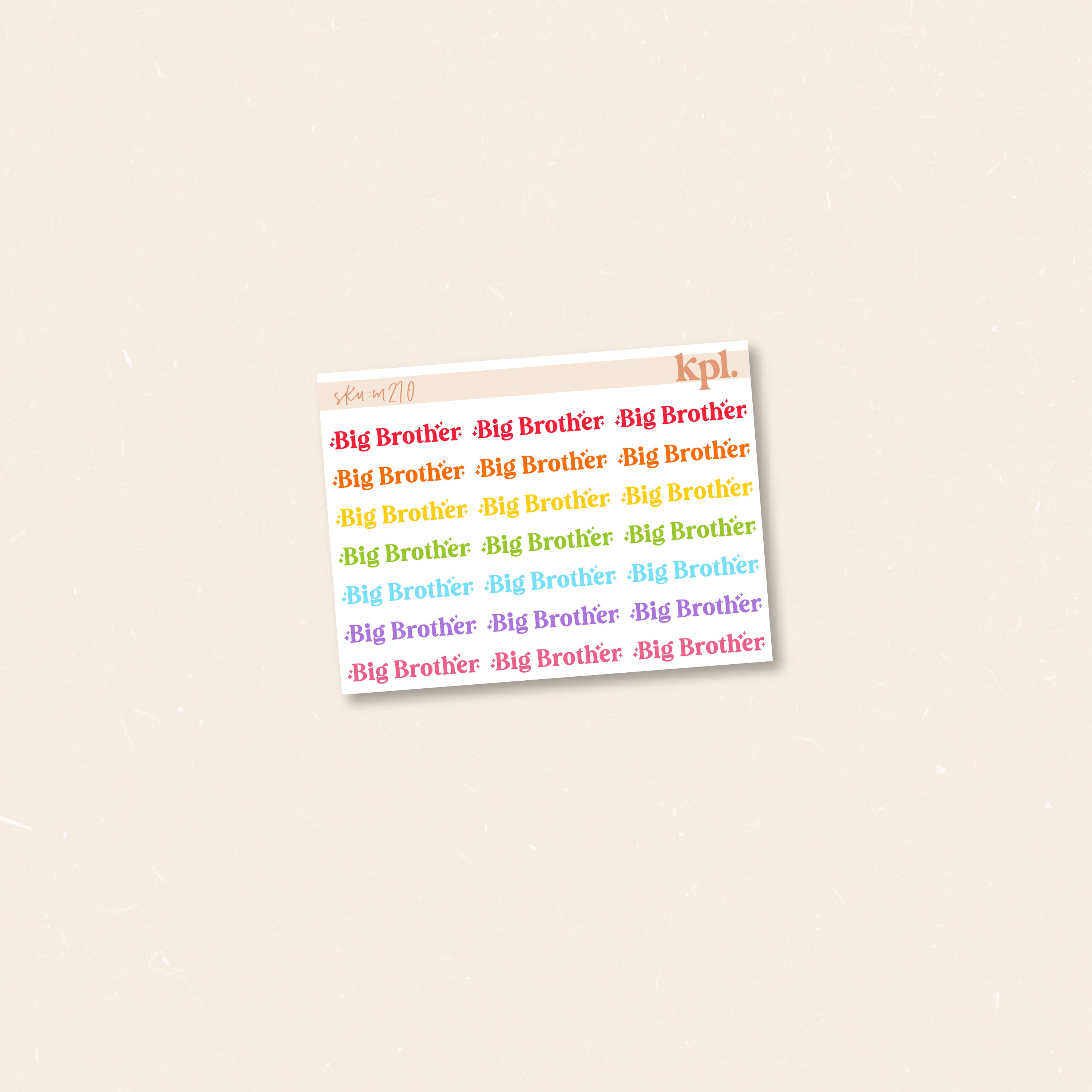 Big Brother 23 Colorful Minimal Stickers. Set of 21! Perfect for Erin…