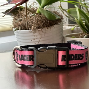 May include: Pink dog collar with black Raiders logo and text. The collar has a black buckle and a silver D-ring.