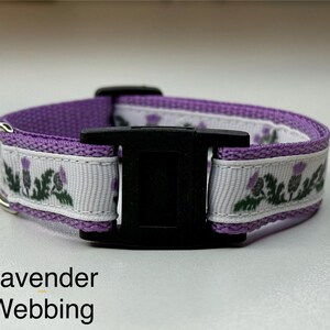 May include: A lavender webbing dog collar with a black plastic buckle and a silver metal D-ring. The white ribbon is decorated with green and purple thistle floral patterns. The text "Lavender Webbing" is at the bottom.