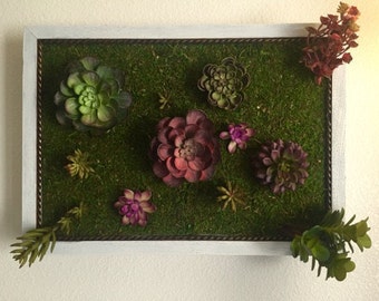 Succulent Wall Garden Frame