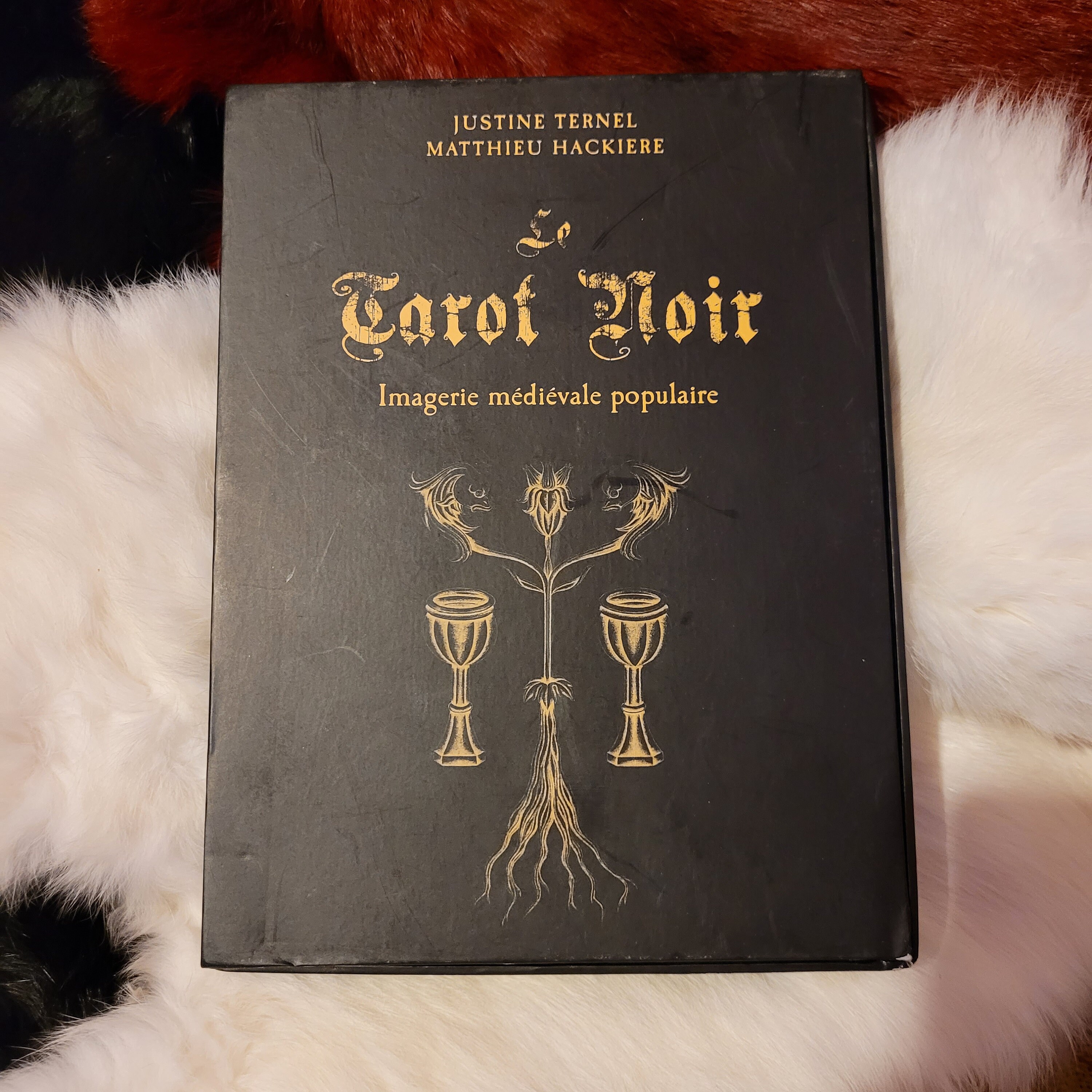 Tarot Noir Tarot Deck (in French)
