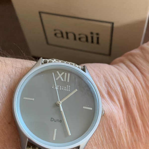 Anaii Dune Couture Collection Mat Silver and Grey Fashion Watch