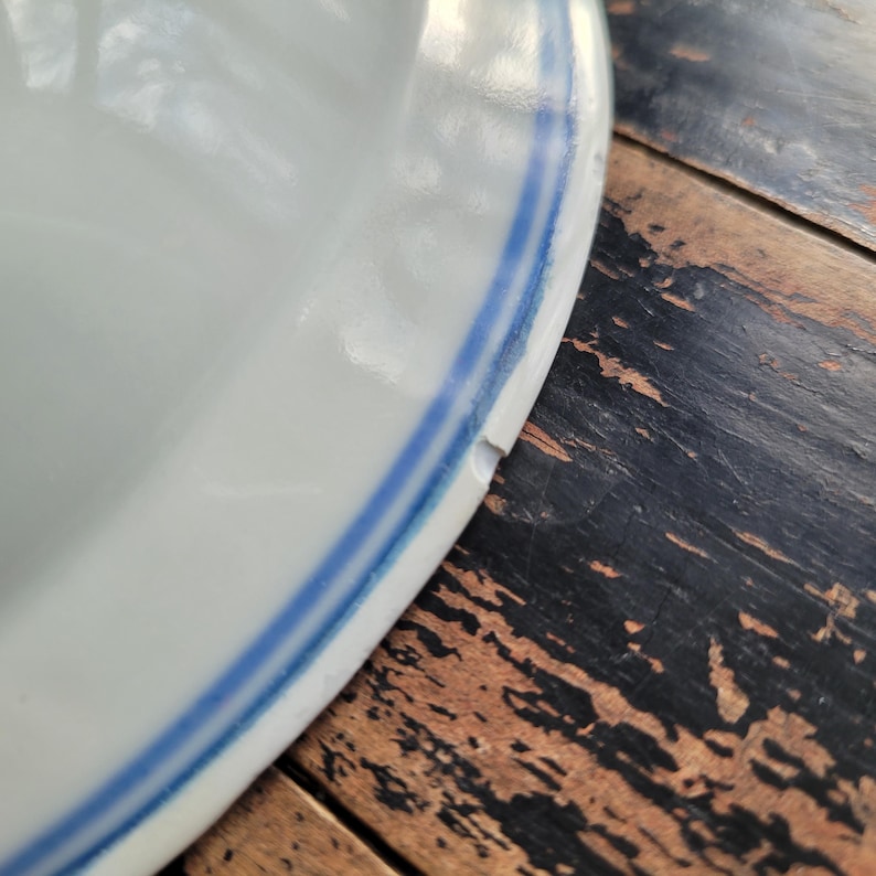 May include: Close-up of a white ceramic plate with a blue double stripe around the rim. The plate has a small chip on the edge, revealing the white interior. The plate is on a dark wooden surface.