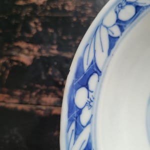 May include: Close-up of a white ceramic plate with a blue floral design around the rim. The blue pattern features stylized flowers and leaves. The plate has a slightly worn appearance.