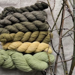 Plant dyed wool yarn set in green and brown. Fingering yarn weight. Suitable for knitting, tablet weaving, crochet and nalbinding.