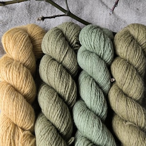 Botanically dyed wool yarn kit. Plant dyed wool yarn is in pale green, pale yellow and sand. Fine baby sock yarn kit  suitable for knitting