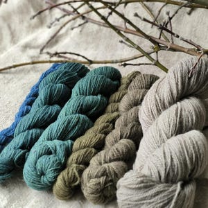 Pflanzengefärbtes Wollgarn-Set. Fingering Sockenwolle botanisch gefärbte Farben blau indigo, grau, dunkelgrün und braun. Gut zum Stricken.
