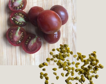 Cherry Tomato, Chocolate-Covered Cherry (Solanum lycopersicum) 150 Organic Seeds (0.5 gram) by Smoke Camp Crafts - Prolific, Unique Tomato