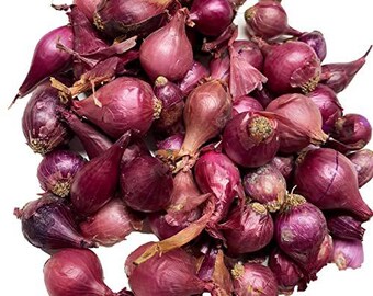 Smoke Camp Crafts Red Onion Sets, 100 Sets for Your Garden - Long-Day Onion for Northern Gardens