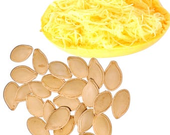 May include: A close-up shot of a halved spaghetti squash filled with yellow strands, and a pile of tan pumpkin seeds. The seeds are oval-shaped and have a textured surface. The squash is bright yellow.